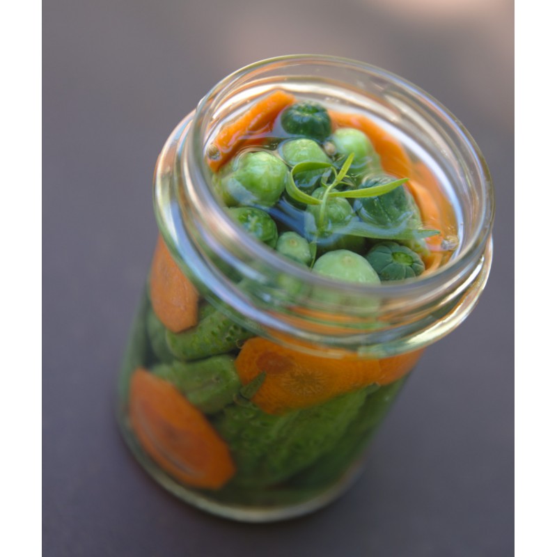 Cornichons au vinaigre