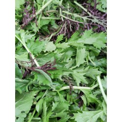Mesclun